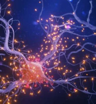La neurona